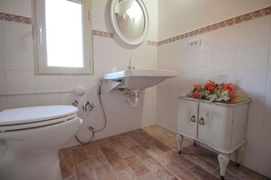 Shower, hair dryer, bidet, towels