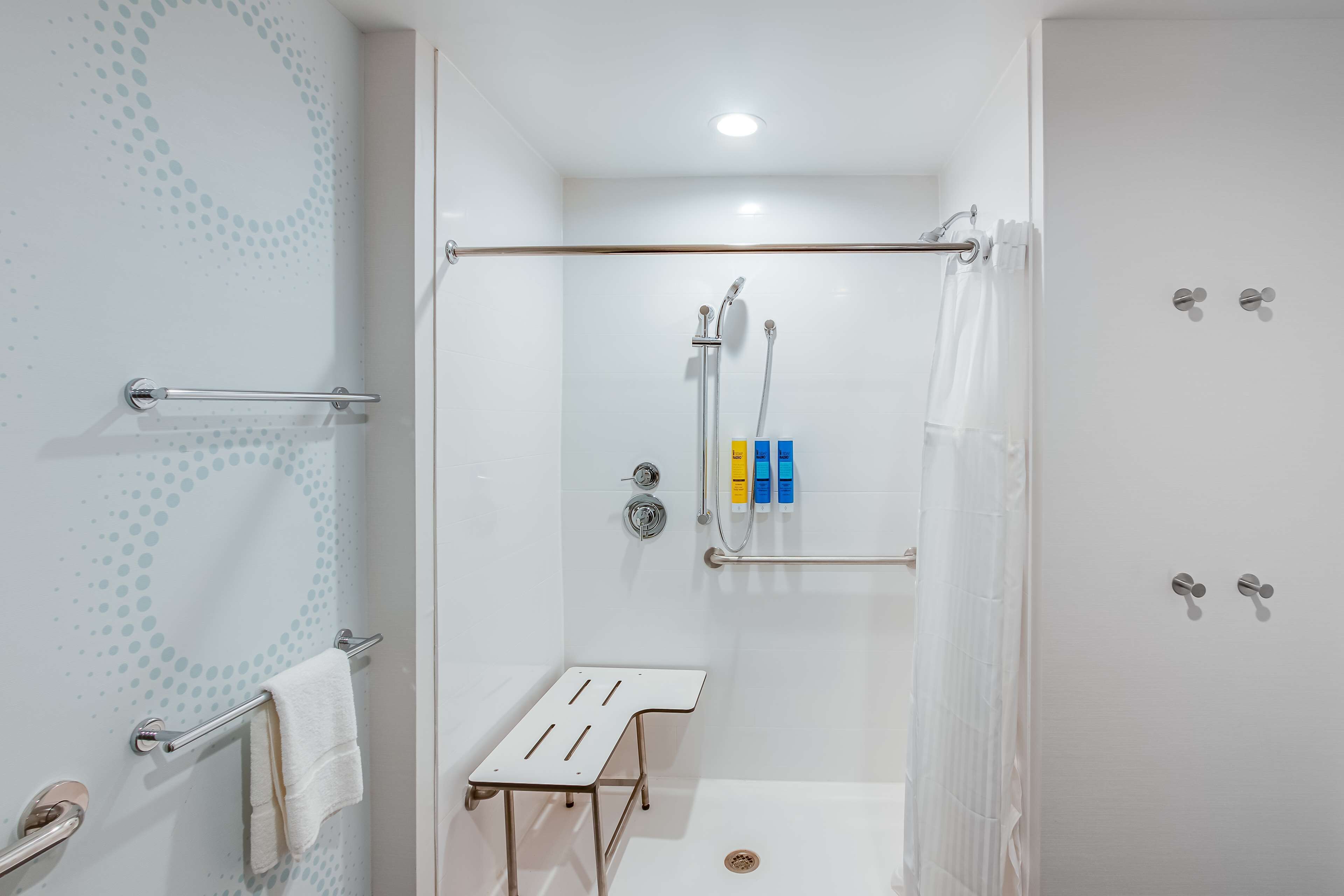room, 1 king bed, accessible (roll-in shower) | bathroom shower