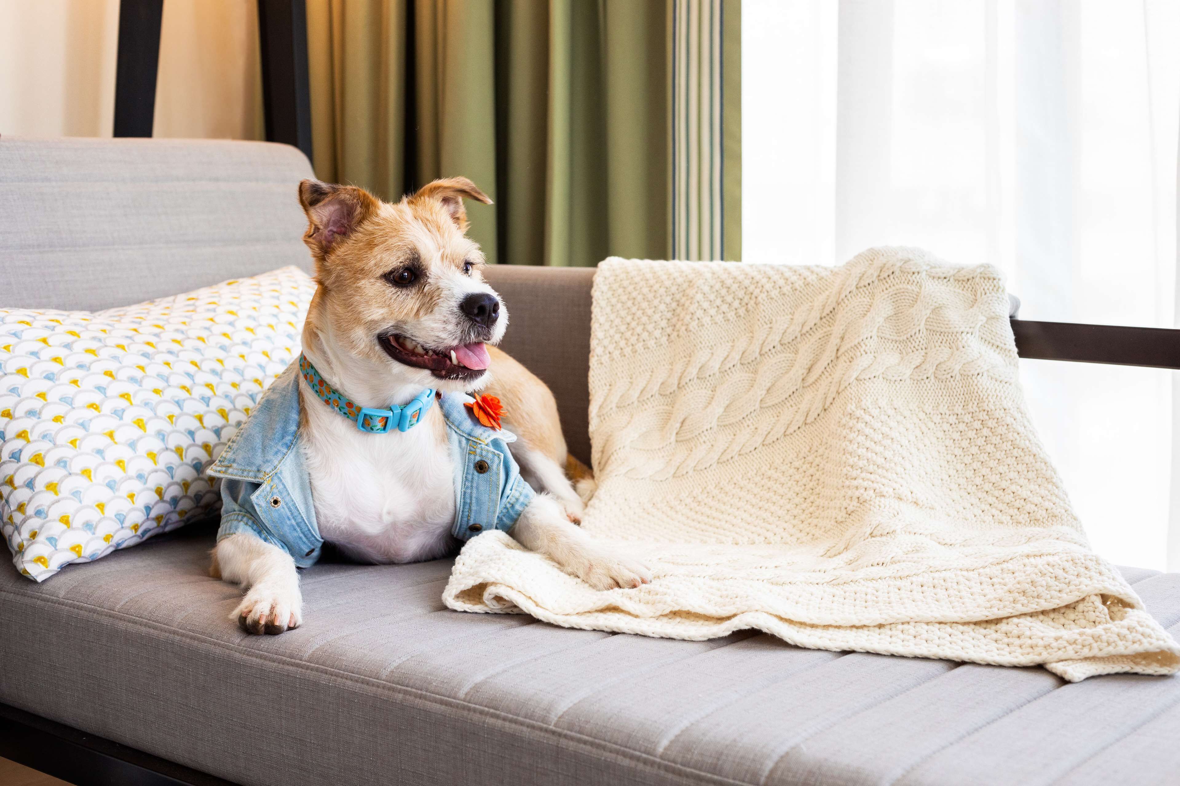 1 bedroom, premium bedding, down duvets, in-room safe