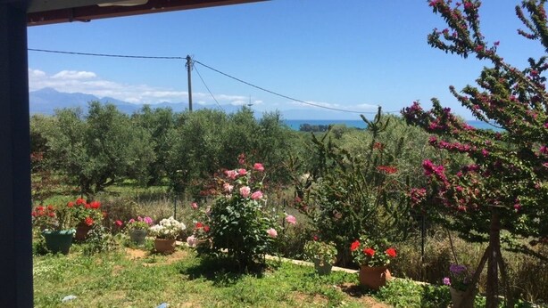 A garden with various plants and flowers, a clear sky, and distant mountains. - La Maison Bleu (Messini)