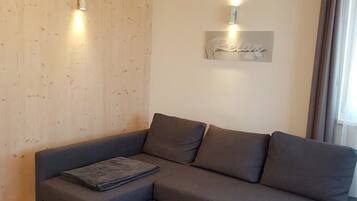 31-inch flat-screen TV with satellite channels, TV