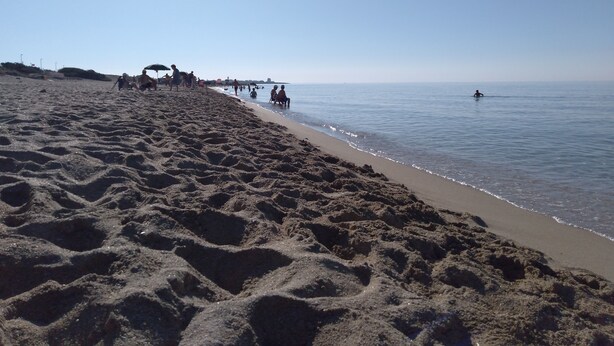 Une plage de sable avec des gens et des parasols.