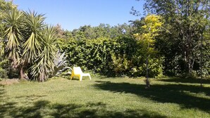 A grassy outdoor area with a yellow chair, various trees, and a hedge. - ATELIER DEI CILIEGI (CAMMARATA)
