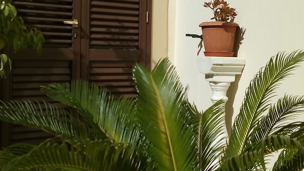 Ein Blumentopf im Vordergrund, dahinter ein Fenster und ein Gemälde an der Wand.