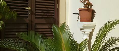 Detalle exterior