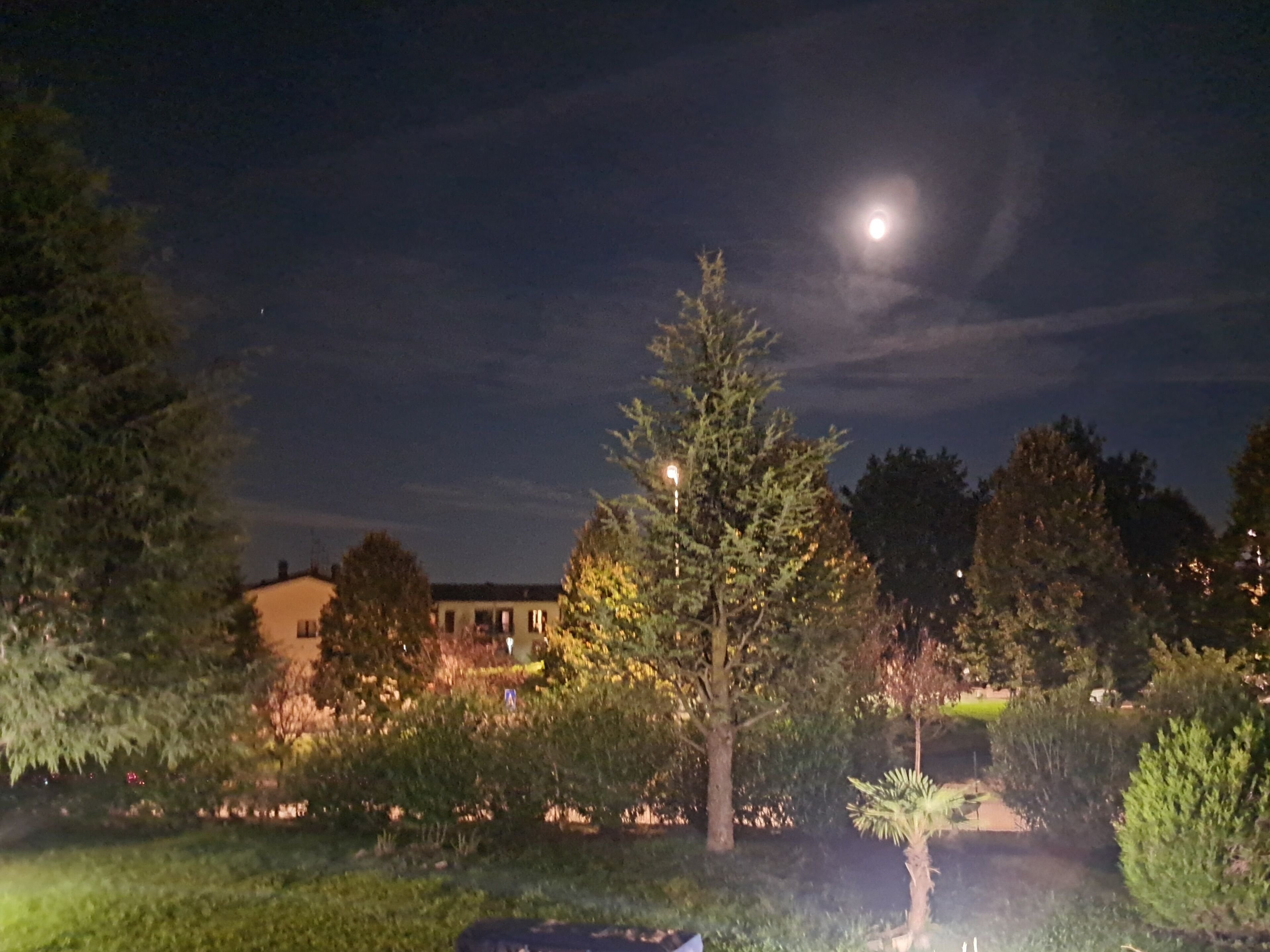 Vista noturna de um bairro residencial com uma casa, árvores e a lua visível.