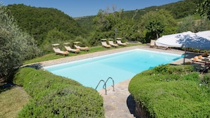 A rectangular swimming pool with a stone border, surrounded by neatly trimmed hedges and a variety of trees.