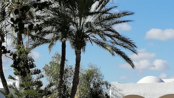Exterieur