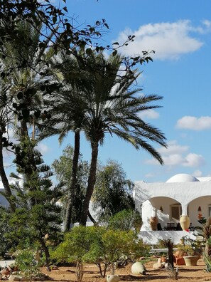 A courtyard with palm trees, potted plants, and a white building with arches.