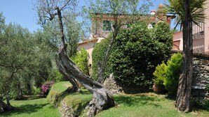 A garden with a large tree, a stone wall, and a building with a balcony. - LAST MINUTE OFFER! Jacuzzi pool, Sauna, A / C, WiFi, close beaches & 5 Terre (ORTONOVO)