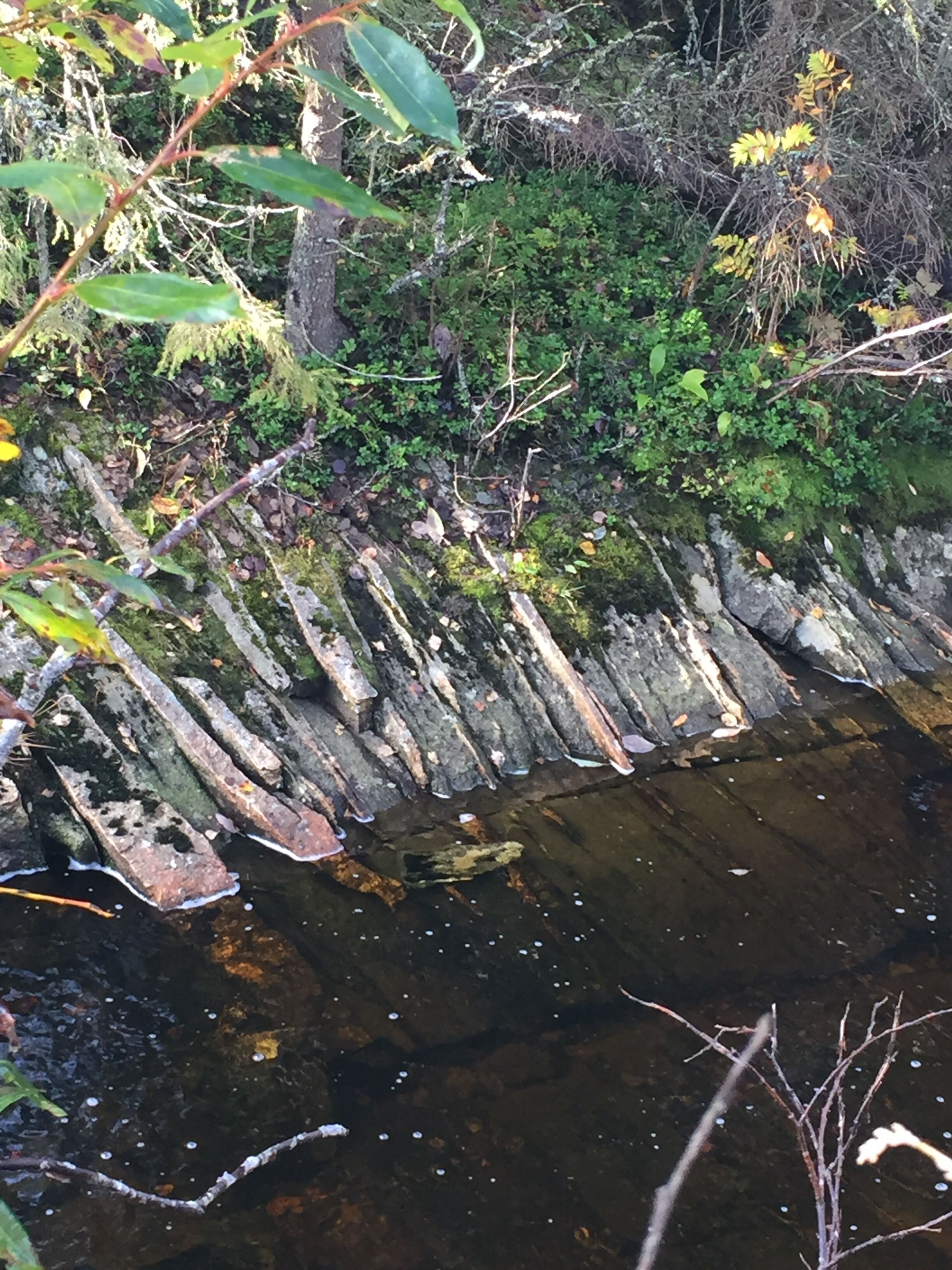 Een beek met rotsen, water stroomt over mosbedekte stenen.