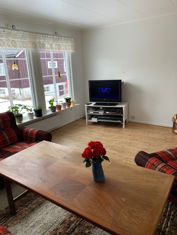 Smart-TV, Kamin, DVD-Player