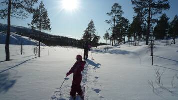 Snø- og skisport