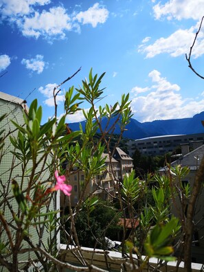 Property grounds - Central, spacious and comfortable, easy to reach by car or train. (Merano)