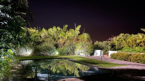 Een tuin 's nachts verlicht, met een zwembad, omringd door weelderige begroeiing en een geplaveid pad.