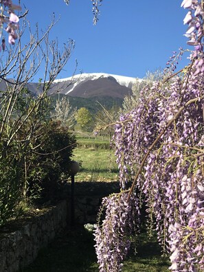 Escape to a serene mountain retreat surrounded by lush gardens and breathtaking views.