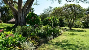 庭園