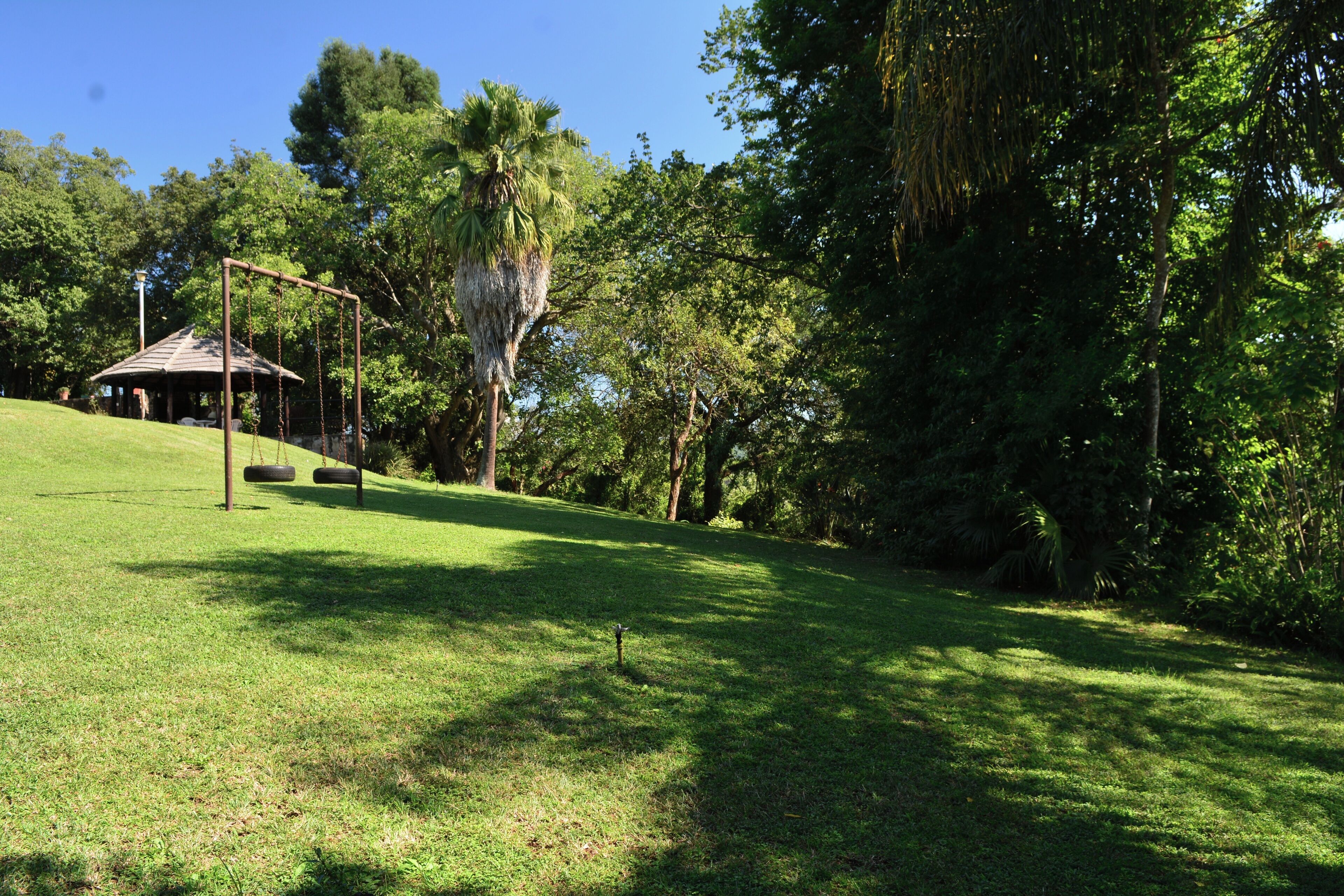 A park with a swing set, a gazebo, and lush greenery.