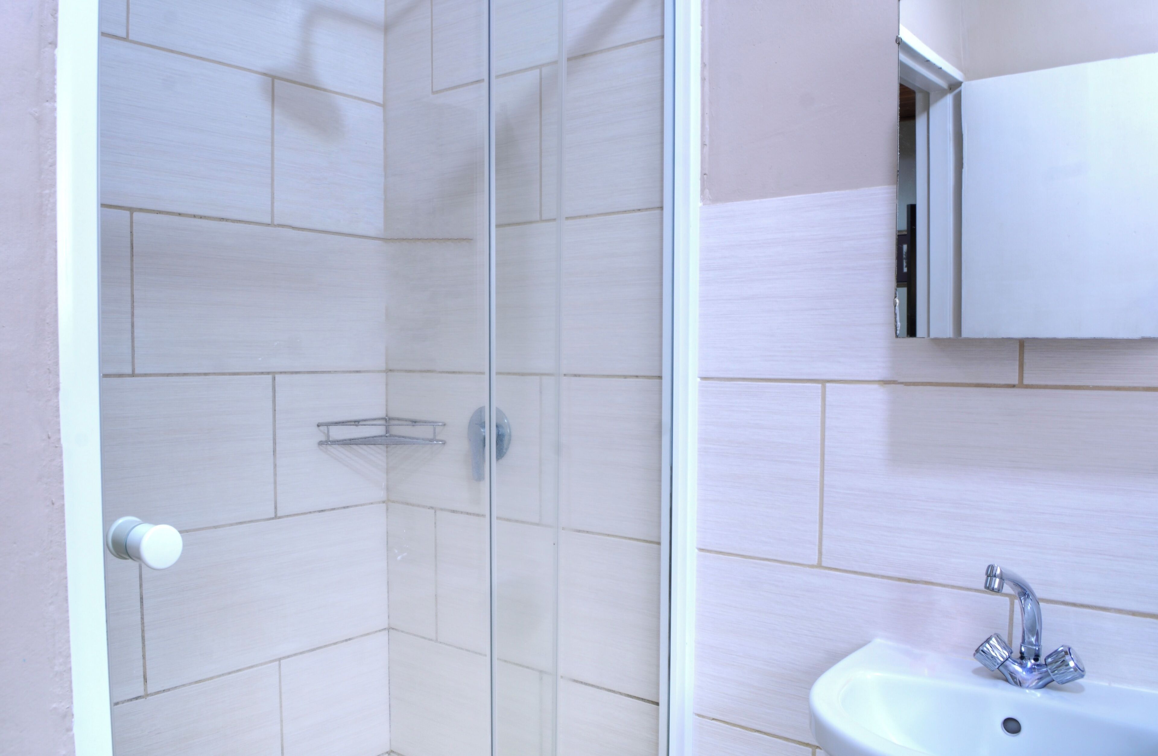 A bathroom with a glass shower enclosure, a white sink, and a mirror above the sink.