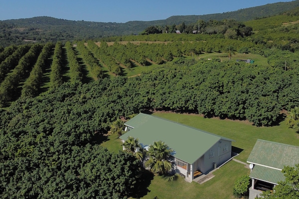 Comfort Chalet | Resort view