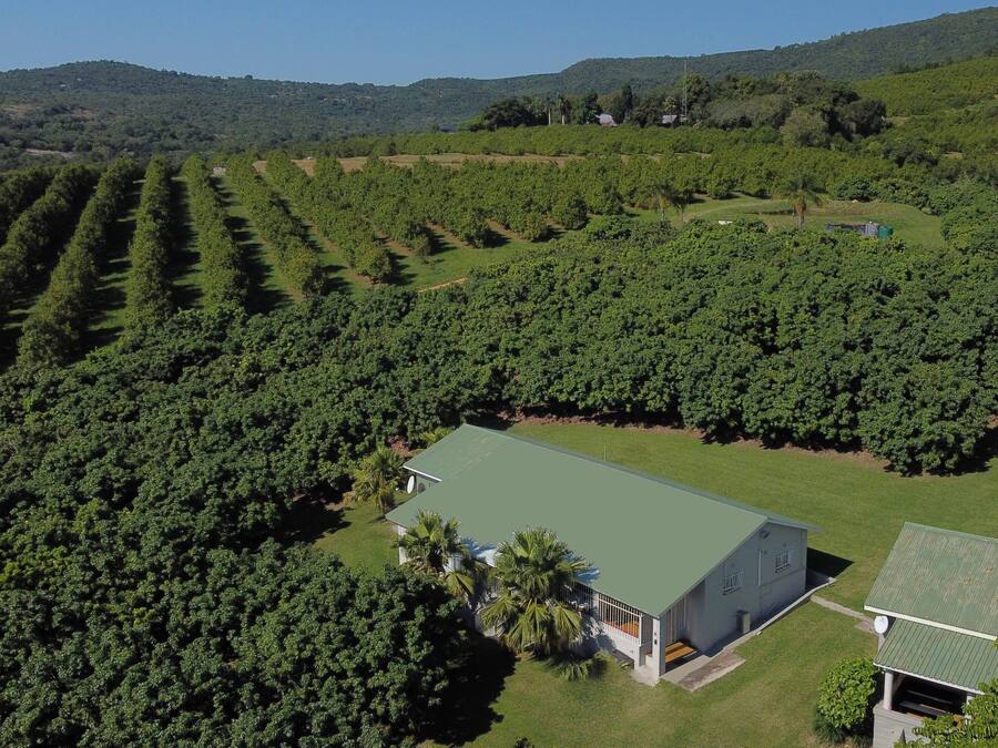 Comfort Chalet | Resort view