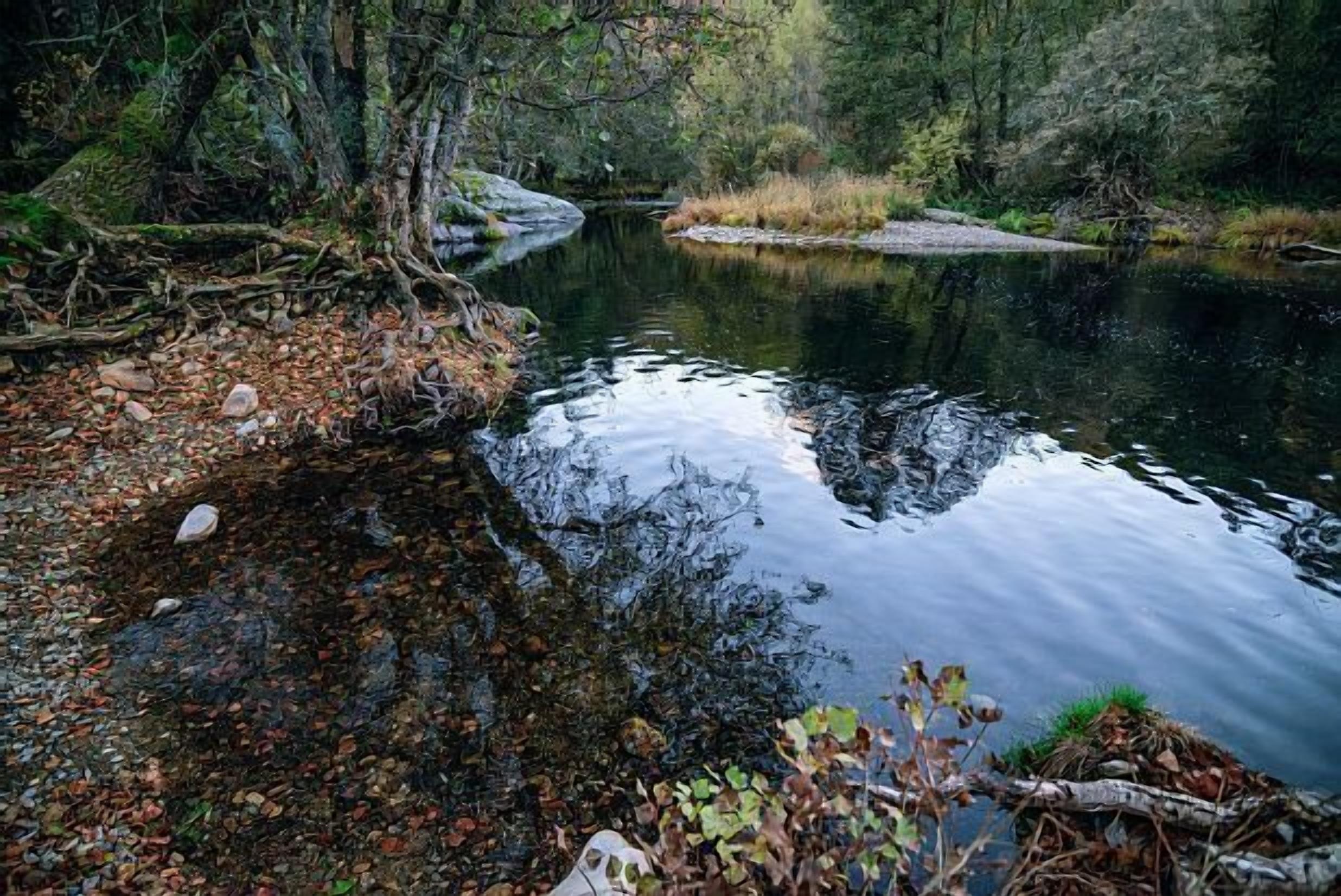 Une rivière paisible aux eaux claires, où se reflètent les arbres environnants, et dont les rives sont rocheuses.