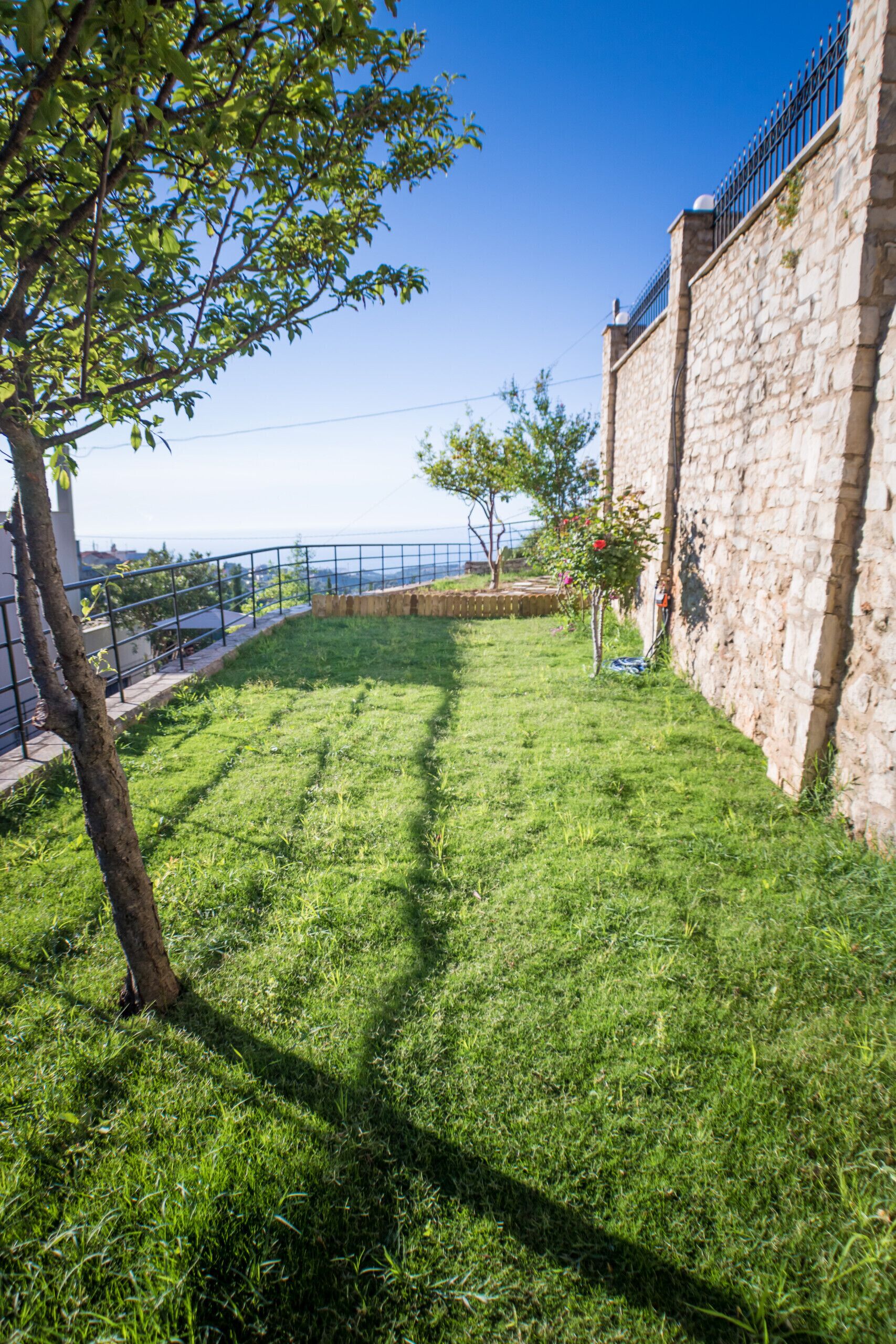 Une zone herbeuse avec un mur de pierre et un arbre.