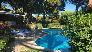 Ein Pool mit geschwungener Kante, umgeben von üppiger Vegetation und einem Steinweg.