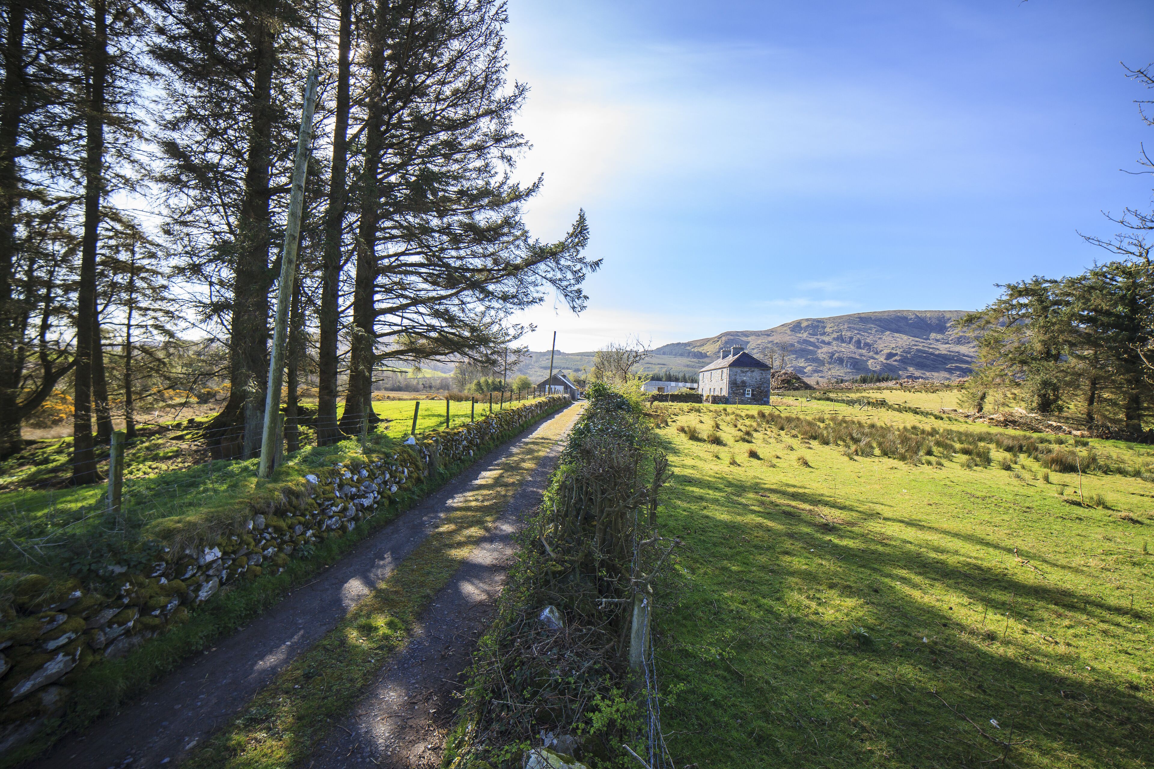View of Carrowcullen from the entrance gate