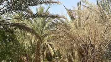 Voorkant van accommodatie