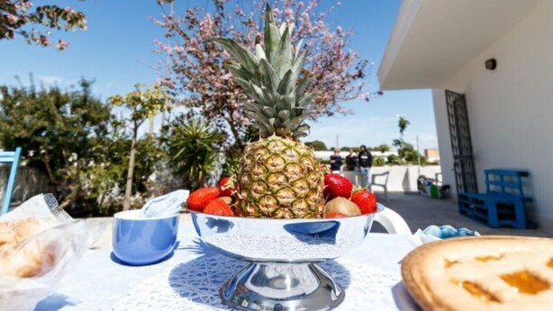 Una mesa con un bol de fruta y pan, una taza azul y una rebanada de pan sobre un mantel.