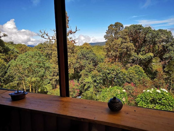 Vue depuis l’hébergement