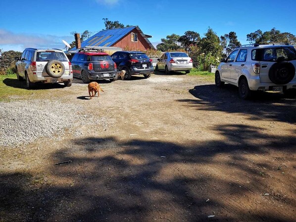 Free self-parking