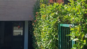 A multi-story building with a brick facade, a green gate, and a well-maintained hedge.