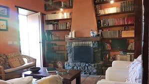 A cozy living room with a fireplace, bookshelves, a sofa, and a television. - Finca la Chirita - For hikers, starry nights (Icod de los Vinos)