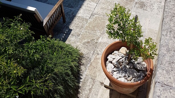 Uma área de pátio ao ar livre com piso de pedra, plantas em vasos e mobiliário externo.