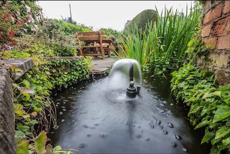 Jardín