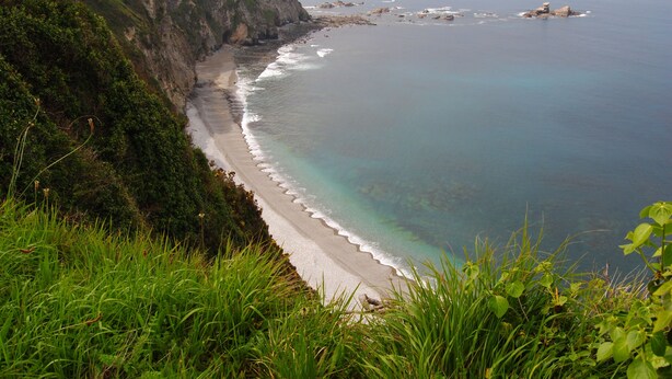 Un paysage côtier comprenant une plage, des falaises et de la végétation.