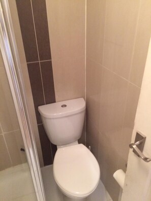 Hair dryer, towels, shampoo, toilet paper