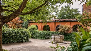 Une cour dotée d’une structure à toit de tuiles, d’un grand arbre et de haies bien entretenues.