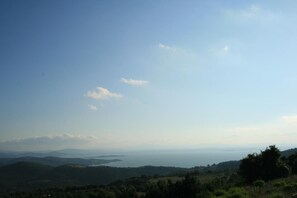 Nicht klassifiziertes Bild, 2 von 3, Schaltfläche