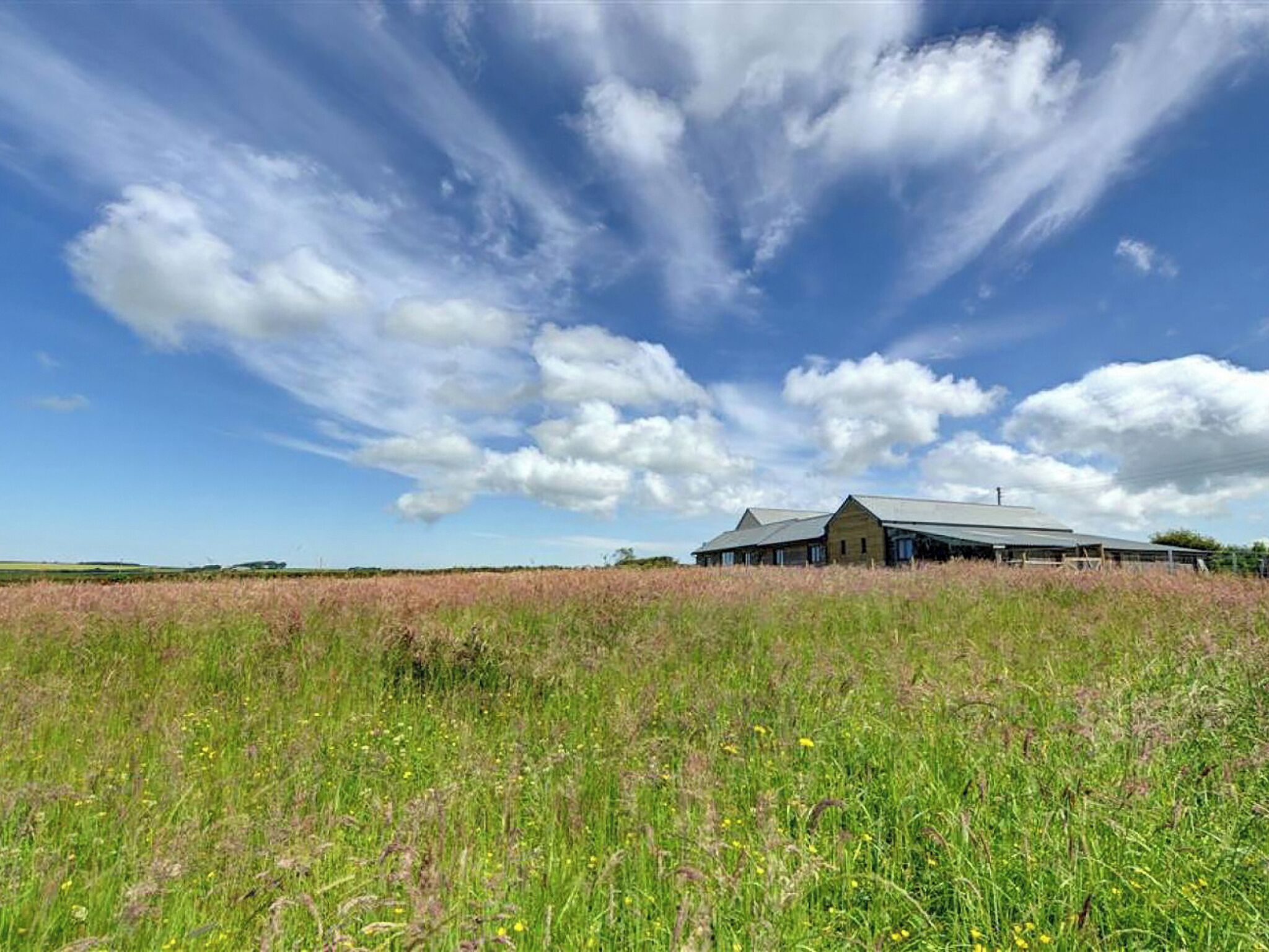 Um edifício amplo, semelhante a um celeiro, com telhado plano, rodeado por um campo de grama alta e flores silvestres.