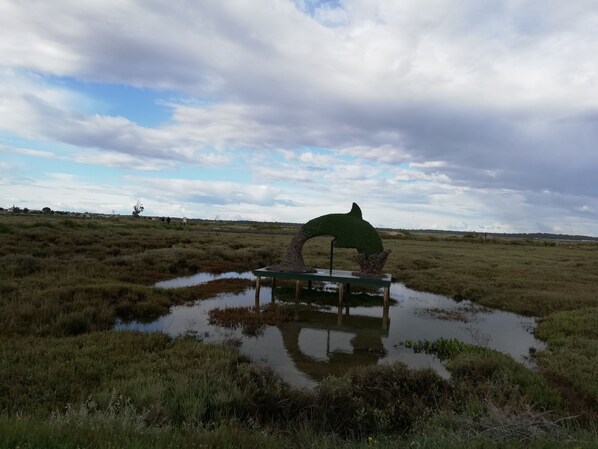 A sculpture of a dolphin in a grassy field with a water feature in the foreground. - Casa da Vista Rio (Amora)