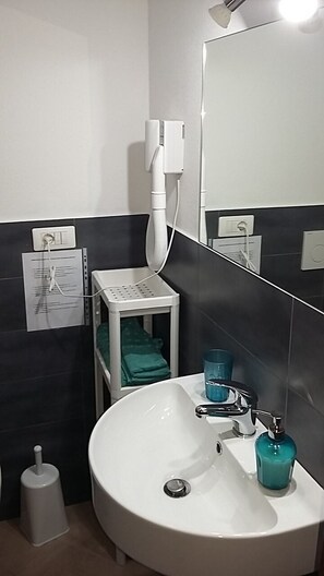 Regadera, secadora de cabello, bidet, toallas 