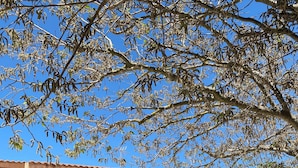Ein Gebäude mit Ziegeldach, Steinpfeilern und einer überdachten Terrasse.