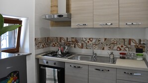 Une cuisine moderne équipée d’une cuisinière à gaz, d’un évier et de meubles en acier inoxydable.