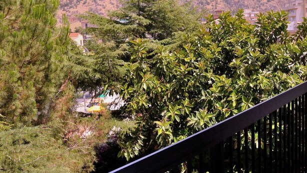 A balcony with dense foliage, a mountain in the background, and a glimpse of a building with a red roof. - CASA ROSETTA Palermo Mondello (Palermo)