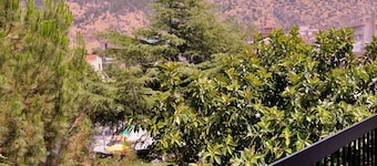 concadoroapartments CASA ROSETTAパレルモモンデッロ