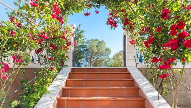 Property grounds - HomeHolidaysRentals Corts - Costa Barcelona (Tordera)