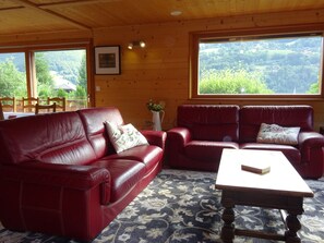 Télévision, cheminée, lecteur de DVD, livres